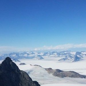 Meet your Posher, Patti